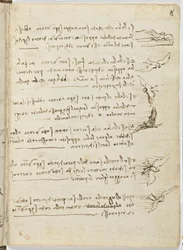 Vogelflugkodex, ca. 1505-06, Papiermanuskript, cc. 18, Blatt 8 recto